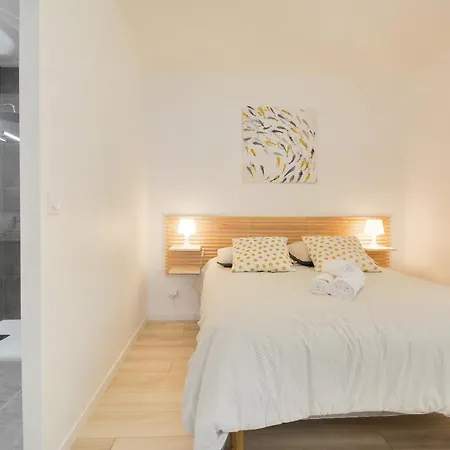 L'independant De La Rue Du Tapis - Appt * Nancy