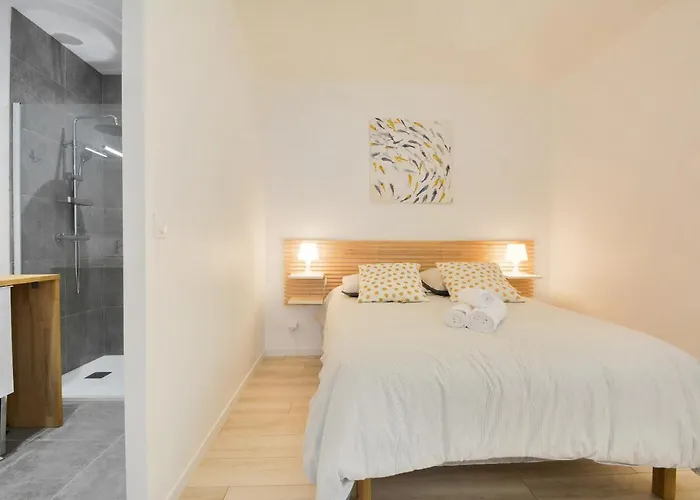 L'independant De La Rue Du Tapis - Appt * Nancy